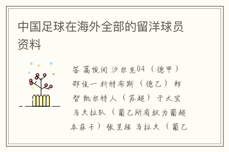 中国足球在海外全部的留洋球员资料