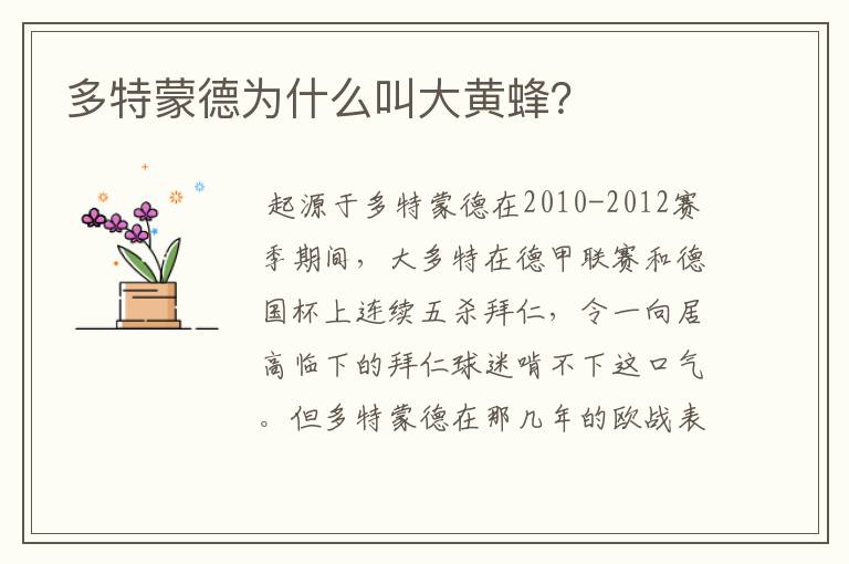 多特蒙德为什么叫大黄蜂?