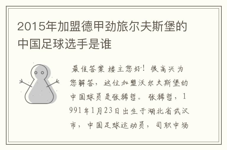 2015年加盟德甲劲旅尔夫斯堡的中国足球选手是谁