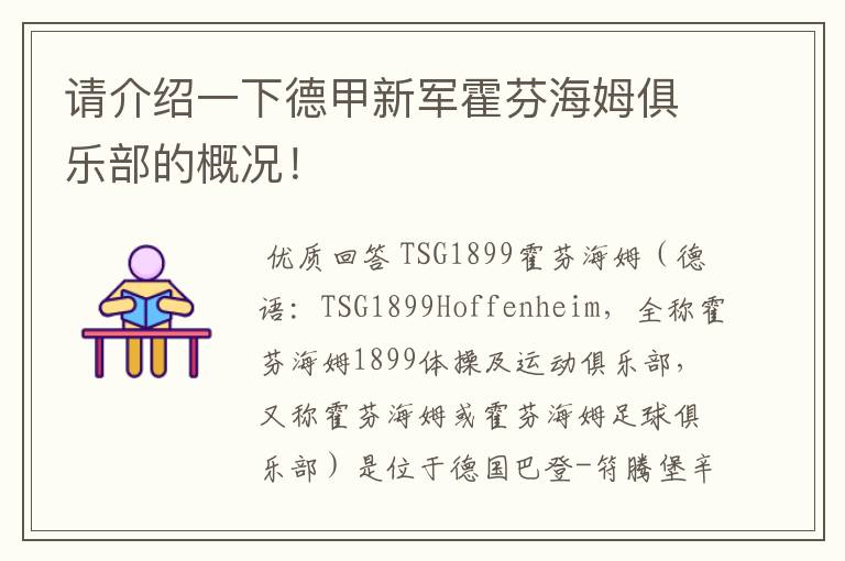 请介绍一下德甲新军霍芬海姆俱乐部的概况!