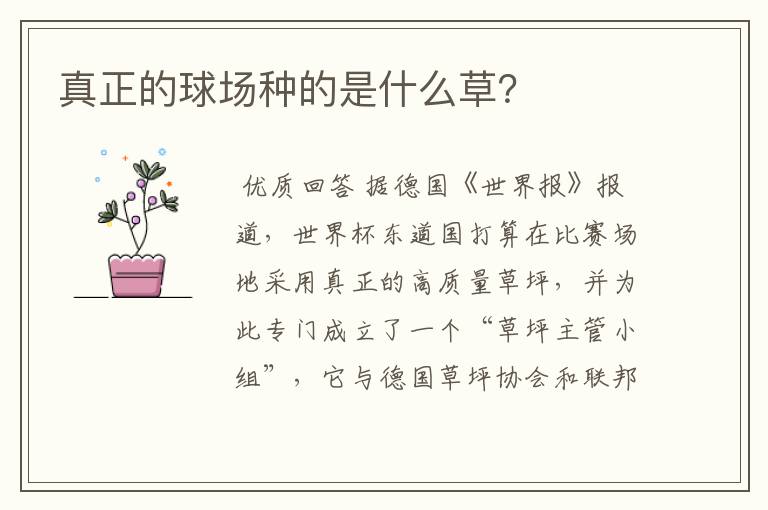 真正的球场种的是什么草?