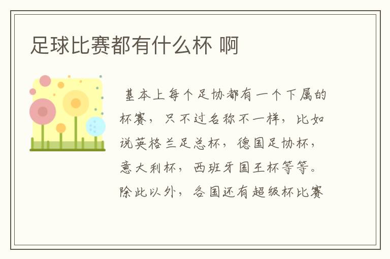 足球比赛都有什么杯 啊