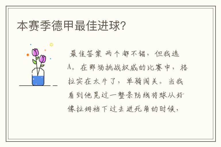 本赛季德甲最佳进球?