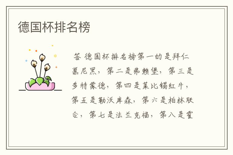德国杯排名榜