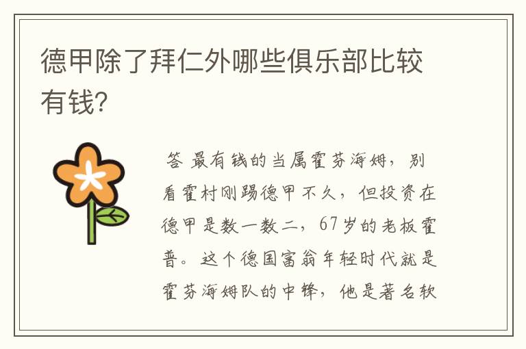 德甲除了拜仁外哪些俱乐部比较有钱?