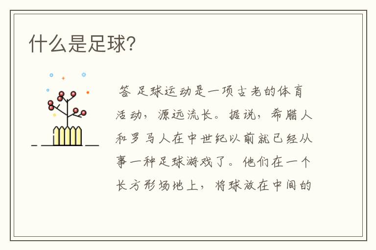什么是足球?