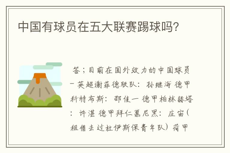 中国有球员在五大联赛踢球吗?