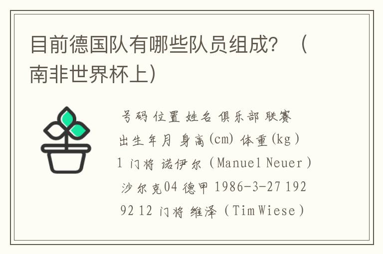 目前德国队有哪些队员组成?(南非世界杯上)