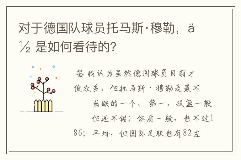 对于德国队球员托马斯·穆勒,你是如何看待的?