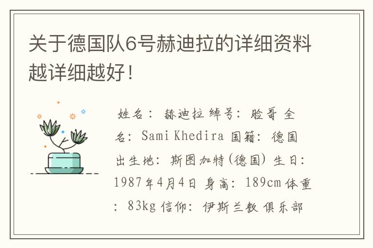 关于德国队6号赫迪拉的详细资料越详细越好!