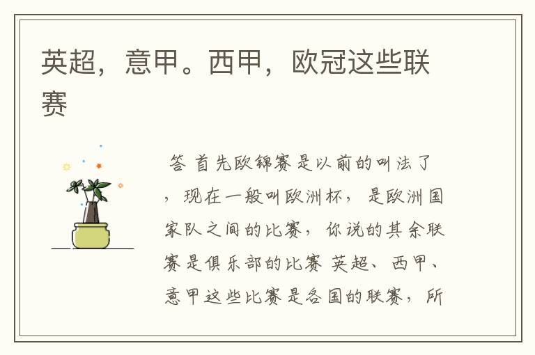 英超,意甲。西甲,欧冠这些联赛