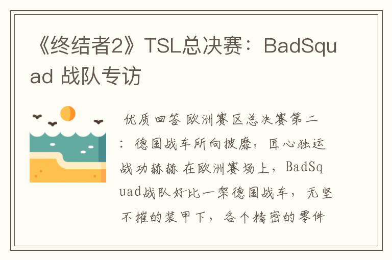 《终结者2》TSL总决赛:BadSquad 战队专访
