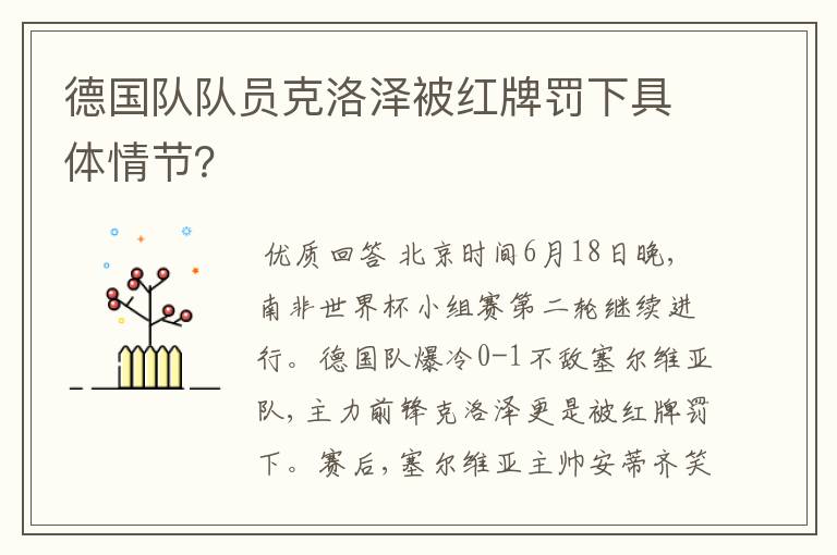 德国队队员克洛泽被红牌罚下具体情节?