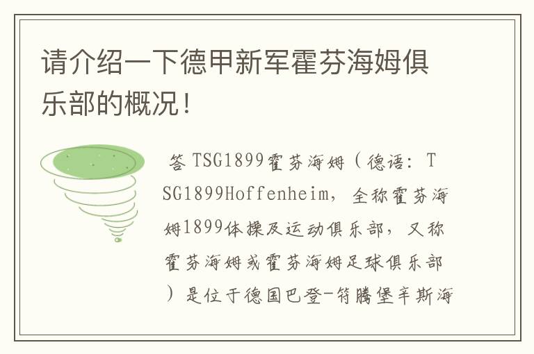 请介绍一下德甲新军霍芬海姆俱乐部的概况!