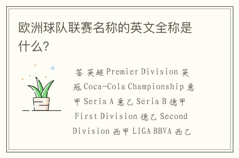 欧洲球队联赛名称的英文全称是什么?
