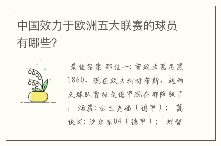 中国效力于欧洲五大联赛的球员有哪些?