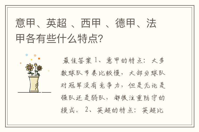 意甲、英超 、西甲 、德甲、法甲各有些什么特点?