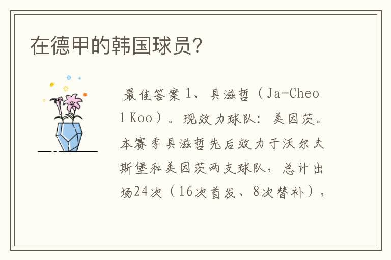 在德甲的韩国球员?
