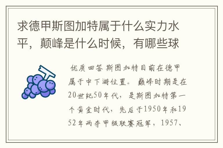 求德甲斯图加特属于什么实力水平,颠峰是什么时候,有哪些球星和走出有哪些球星