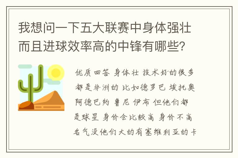 我想问一下五大联赛中身体强壮而且进球效率高的中锋有哪些?