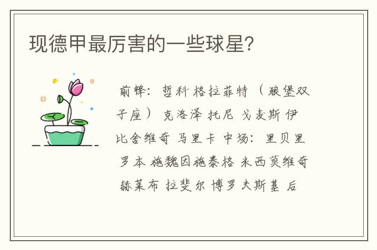 现德甲最厉害的一些球星?