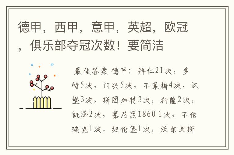 德甲,西甲,意甲,英超,欧冠,俱乐部夺冠次数!要简洁