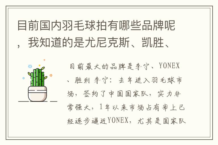 目前国内羽毛球拍有哪些品牌呢,我知道的是尤尼克斯、凯胜、胜利、强力、李宁、双星,还有其他的吗?
