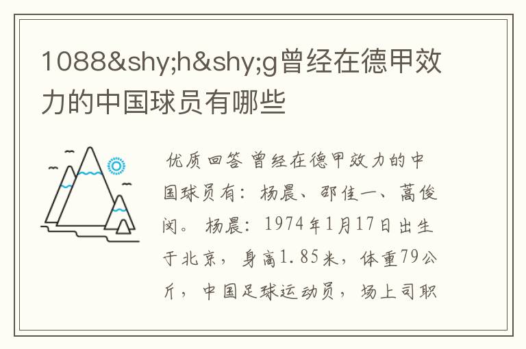1088hg曾经在德甲效力的中国球员有哪些