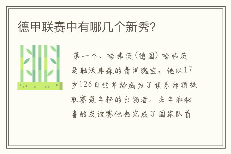 德甲联赛中有哪几个新秀?