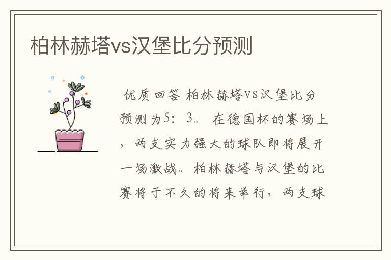 柏林赫塔vs汉堡比分预测