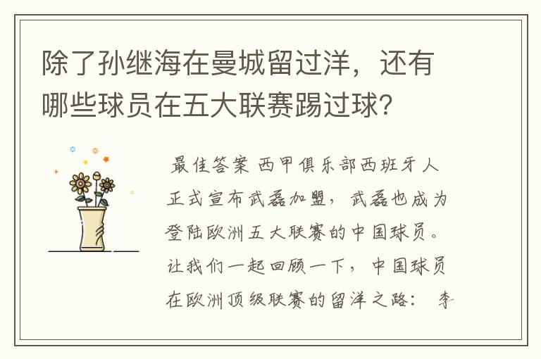 除了孙继海在曼城留过洋,还有哪些球员在五大联赛踢过球?