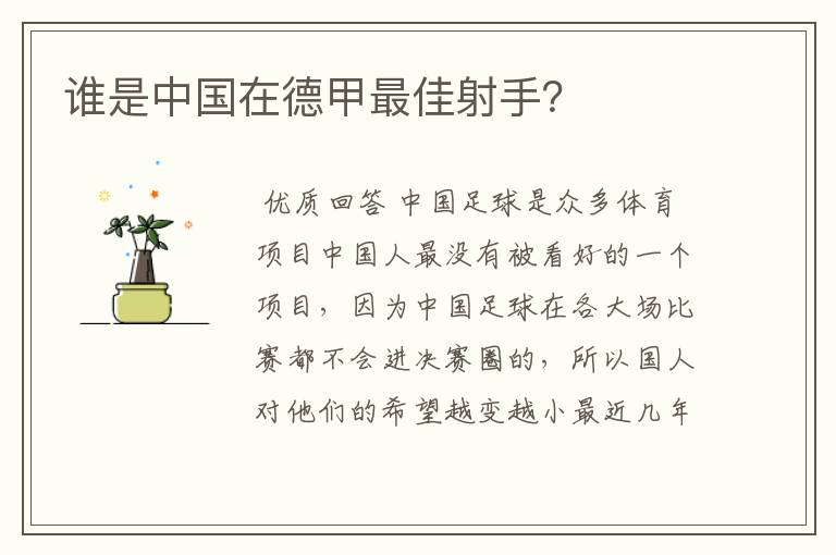 谁是中国在德甲最佳射手?