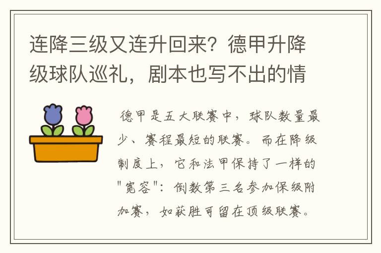 连降三级又连升回来?德甲升降级球队巡礼,剧本也写不出的情节