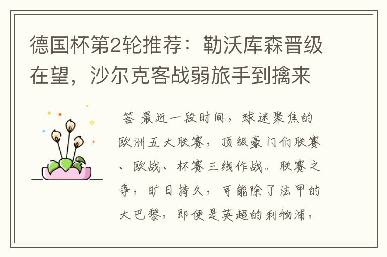 德国杯第2轮推荐:勒沃库森晋级在望,沙尔克客战弱旅手到擒来