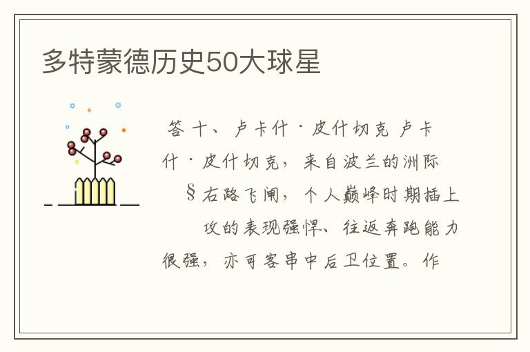 多特蒙德历史50大球星