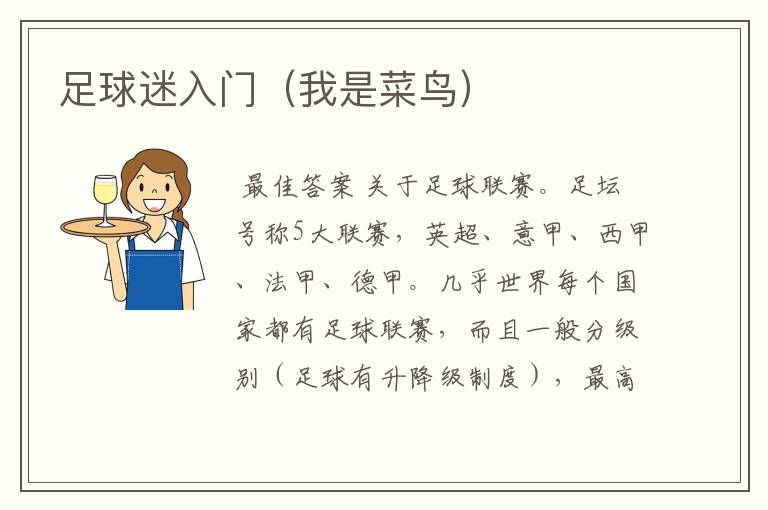 足球迷入门(我是菜鸟)