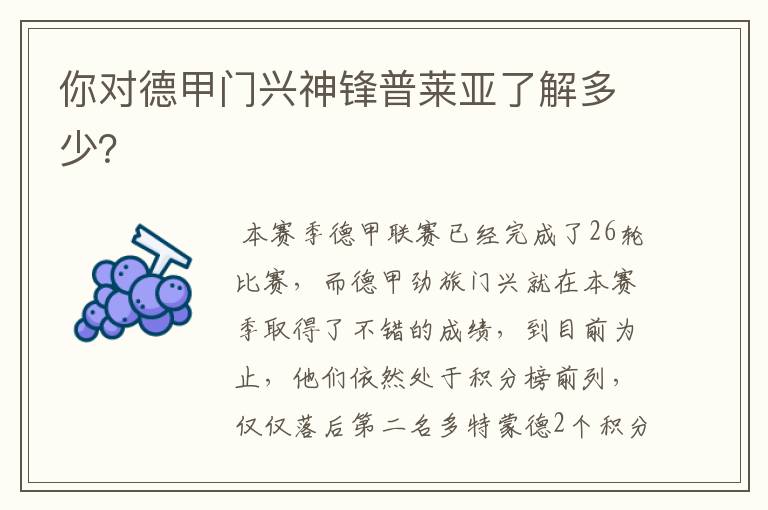 你对德甲门兴神锋普莱亚了解多少?