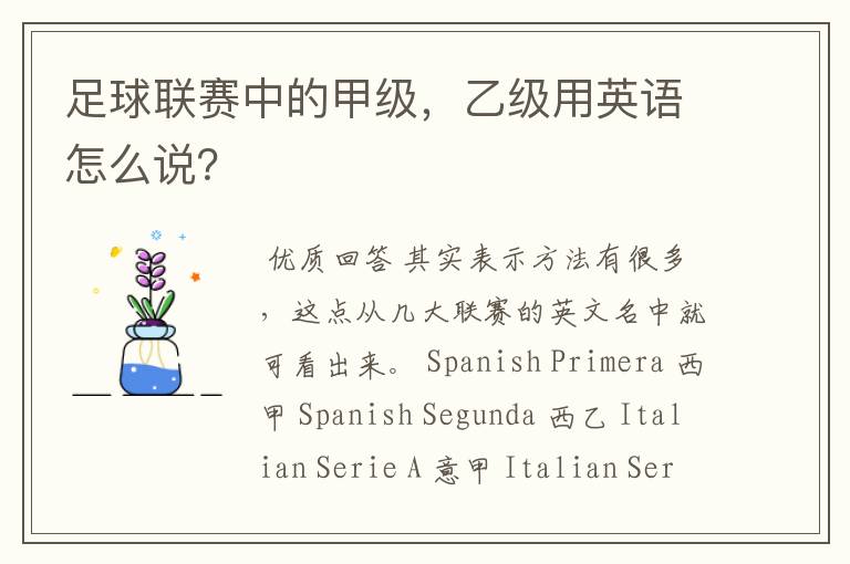 足球联赛中的甲级,乙级用英语怎么说?