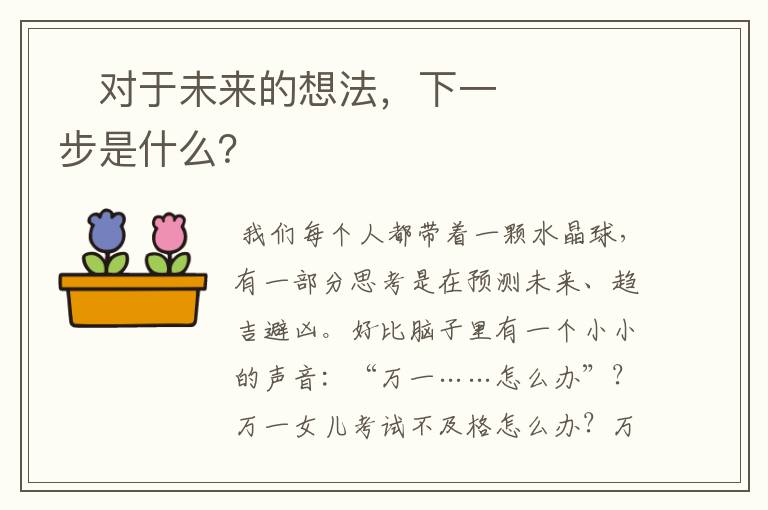 对于未来的想法,下一步是什么?