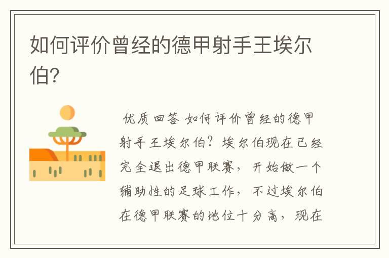 如何评价曾经的德甲射手王埃尔伯?