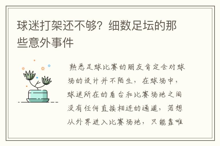 球迷打架还不够?细数足坛的那些意外事件