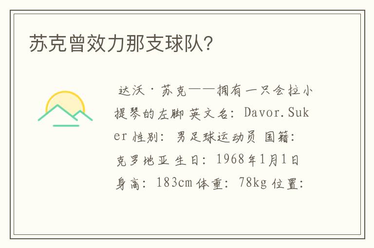 苏克曾效力那支球队?