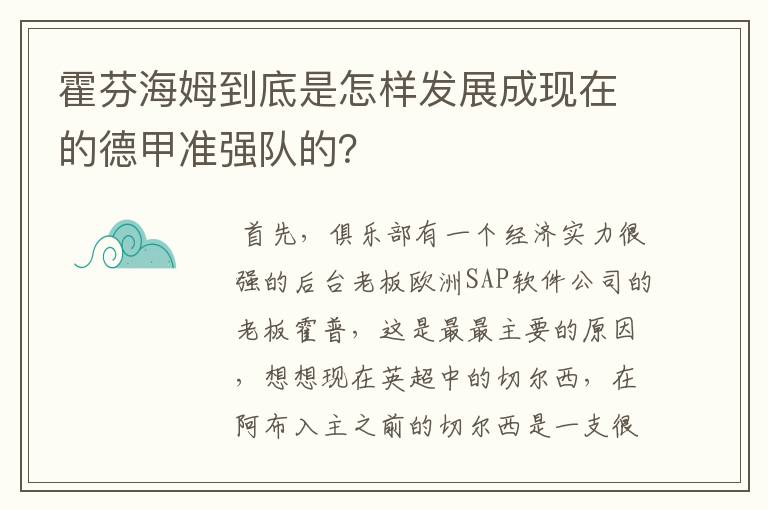 霍芬海姆到底是怎样发展成现在的德甲准强队的?
