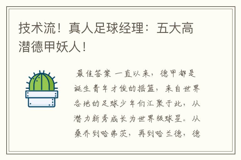技术流!真人足球经理:五大高潜德甲妖人!