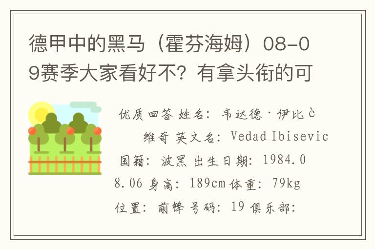 德甲中的黑马(霍芬海姆)08-09赛季大家看好不?有拿头衔的可能吗?