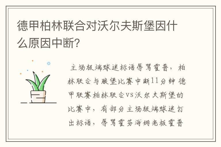 德甲柏林联合对沃尔夫斯堡因什么原因中断?
