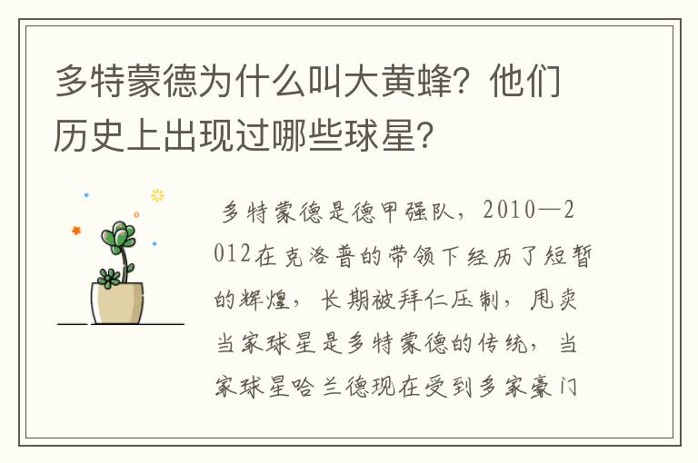 多特蒙德为什么叫大黄蜂?他们历史上出现过哪些球星?