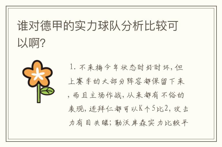 谁对德甲的实力球队分析比较可以啊?