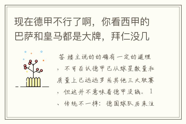 现在德甲不行了啊,你看西甲的巴萨和皇马都是大牌,拜仁没几个拿的出手的,难道他们没钱吗?