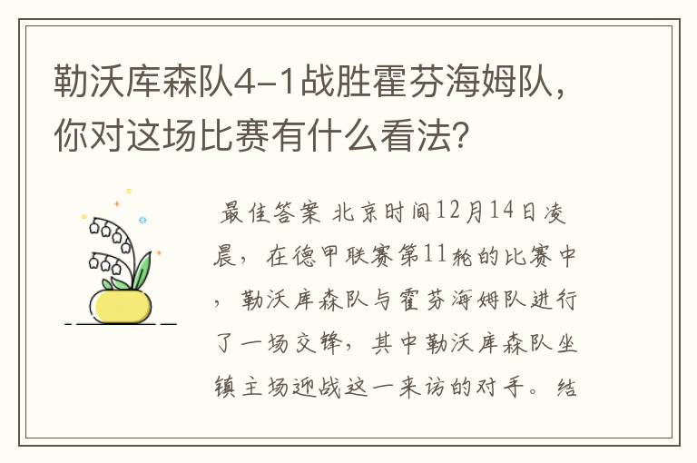 勒沃库森队4-1战胜霍芬海姆队,你对这场比赛有什么看法?